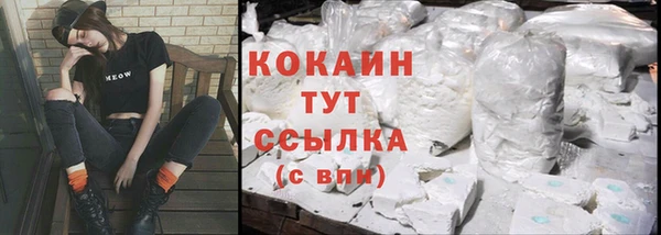 mix Богородицк