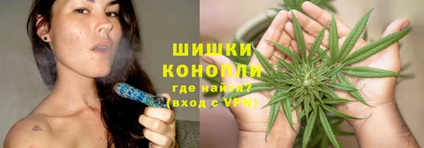 mix Богородицк