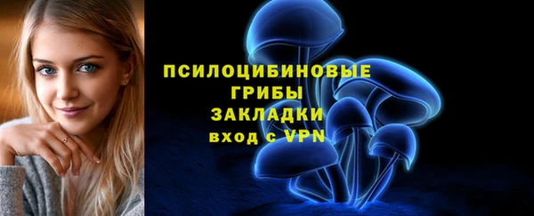 стаф Бронницы