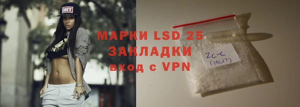 мдпв Бородино