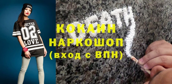 mix Богородицк
