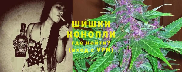 mix Богородицк