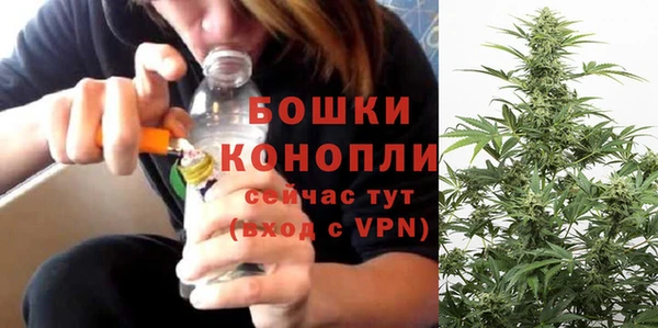 мдпв Бородино