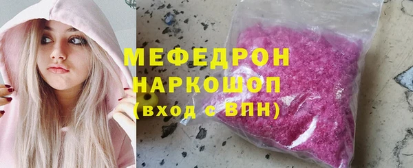 мдпв Бородино