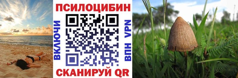 Псилоцибиновые грибы Psilocybe  хочу наркоту  Высоковск 