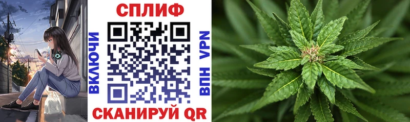 Конопля гибрид  сколько стоит  Высоковск 